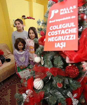 Nouă familii ieșene au primit în dar de la Palas Mall câte un brad de Crăciun
