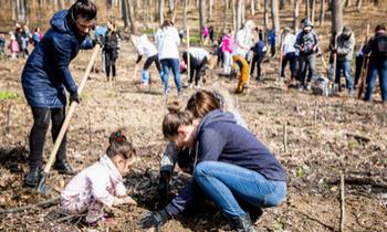 O pădurice cu 3.000 de copaci, plantată de peste 200 de angajați ai companiilor din clădirile de birouri de la Palas