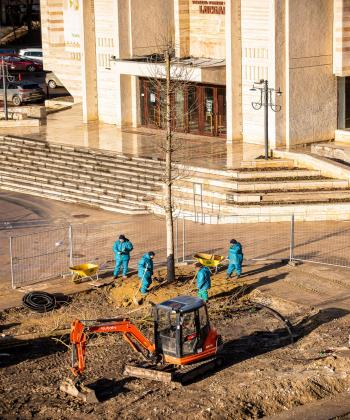 Platani, castani şi Ginkgo Biloba, plantaţi pe esplanada din faţa Teatrului „Luceafărul”