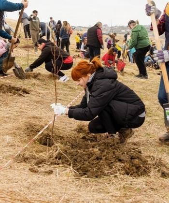 Voluntarii IULIUS s-au implicat în campanii de împădurire în Iași, Cluj și Timișoara