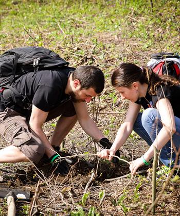 120 de angajați ai companiilor din clădirile de birouri UBC Palas au plantat 3.000 de copaci într-o zonă din apropierea Iașului